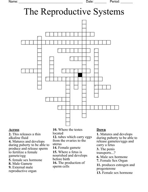 The Reproductive Systems Crossword Wordmint