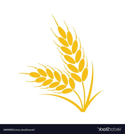 Wheat Vector At Vectorified Collection Of Wheat Vector Free For