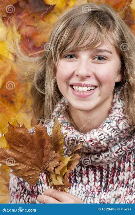 Het Portret Van De Herfst Stock Afbeelding Image Of Vrij 16526943