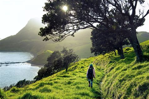 Coromandel Coastal Walkway Daniel Murray Photography New Zealand