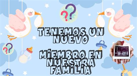 NIÑA O NIÑO NUEVO MIEMBRO EN LA FAMILIA YouTube