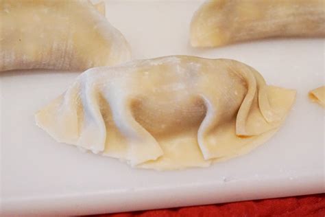 How To Pan Fry Japanese Gyoza At Nicholas Serrano Blog