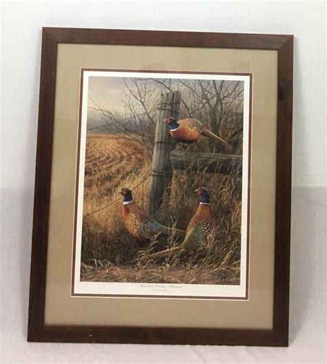 Forgotten Fenceline Pheasants Rosemary Millette Ducks Unlimited Framed