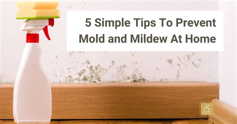 Simple Tips To Prevent Mold And Mildew At Home