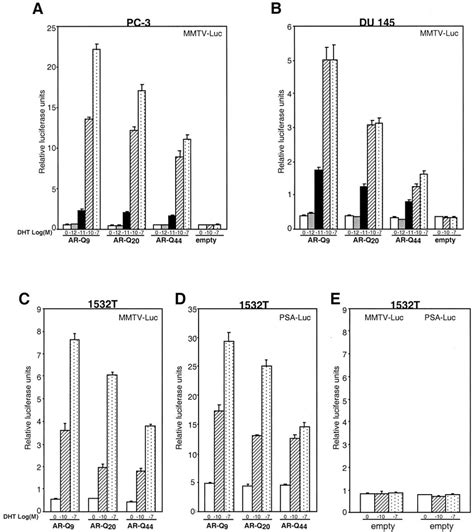 Ar Transcriptional Activity Increases With Decreasing Poly Q Length In