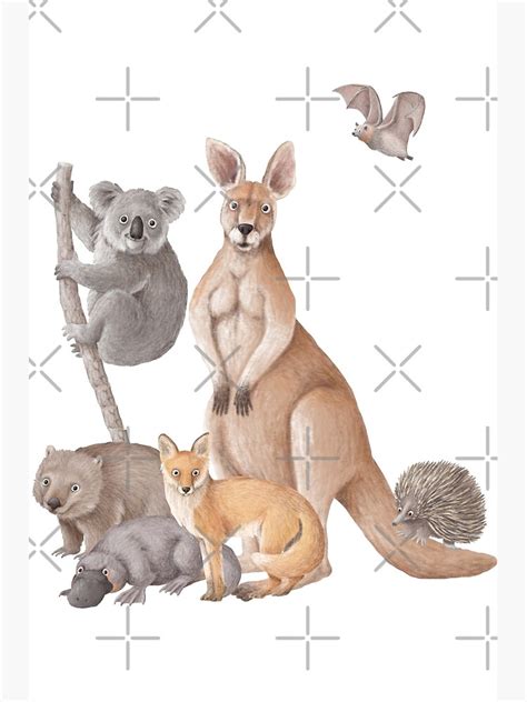 "Australian Bush Animals " Poster for Sale by TeeKid | Redbubble