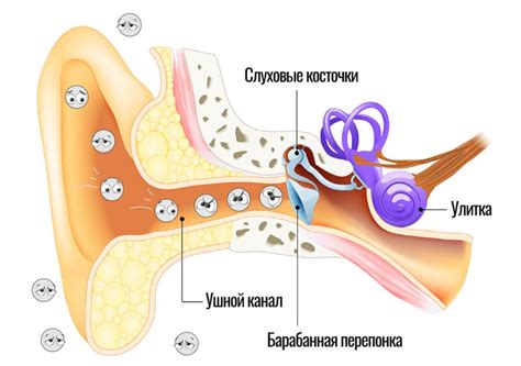 Расскажем о Ans что это в наушниках