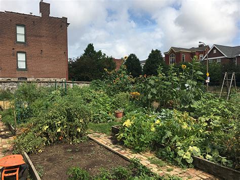 Scaling Up Urban Agriculture Research Team Outlines Roadmap