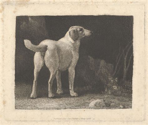 George Stubbs Dog A Foxhound Viewed From Behind The Metropolitan