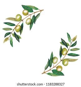 Watercolor Olive Branch Wreath Stock Illustration 1183288327 | Shutterstock