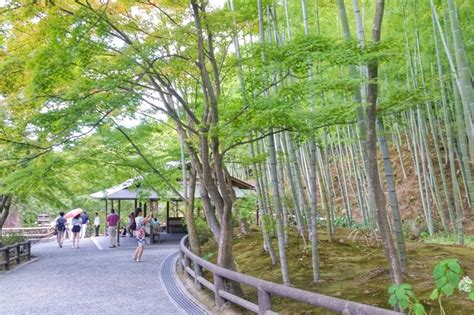 Tenryuji Temple Kyoto Bamboo Forest