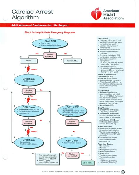 Solution Acls Algorithms New Studypool