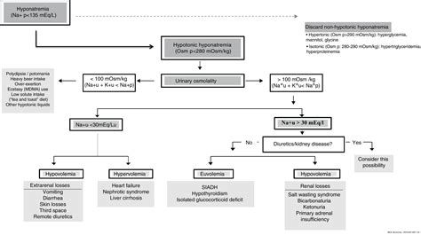 Practical Document On The Management Of Hyponatremia In Critically Ill Patients Medicina Intensiva