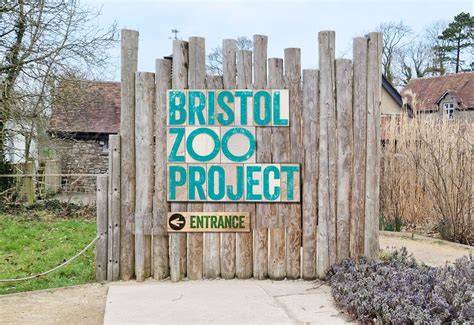 Blog - Bristol Zoo Project