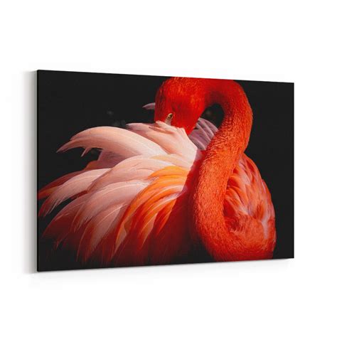 Flamingo Wall Art