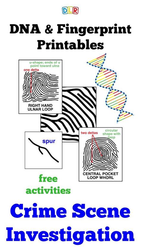 Forensic Science Activity Worksheets