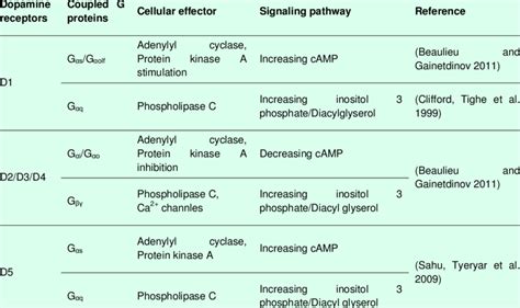 Dopaminergic Receptors