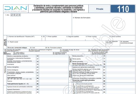 Declaracion De Renta Persona Juridica Guia Completa Para