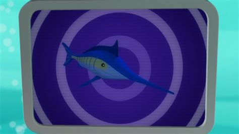 Swordfish Creature Report Cbeebies Bbc