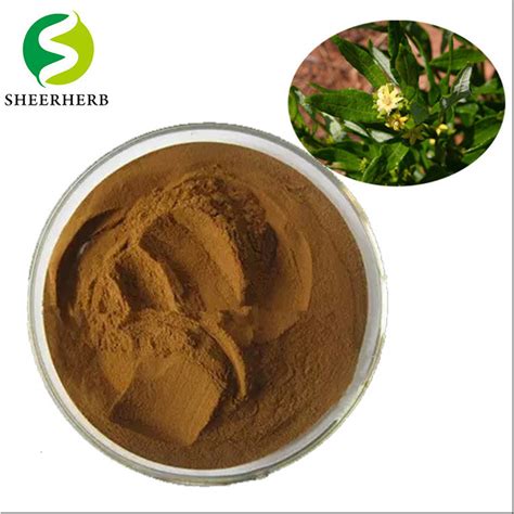 Factory Supply Fadogia Agrestis Extract for Male Health Fadogia ...