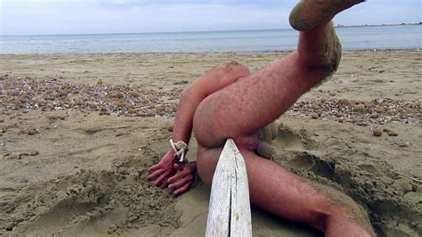 Free Muscle Butt Gay Porn Videos Xhamster