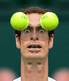 Andy Murray looking intense : r/funny