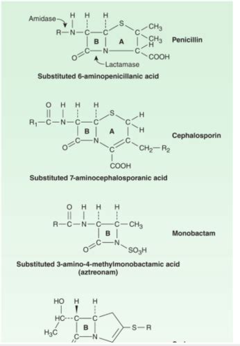 Pharm Beta Lactam Other Cell Wall Membrane Active Antibiotics