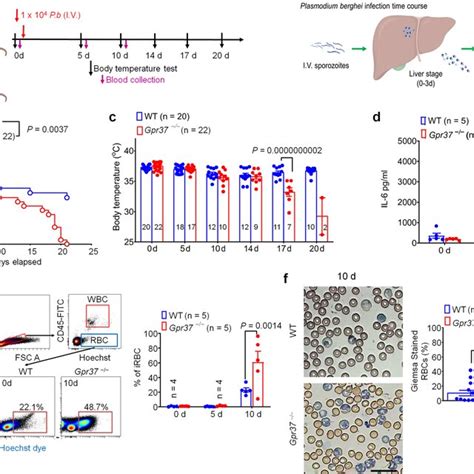 Activation Of Gpr37 In Macrophages Protects Against Infection And Its