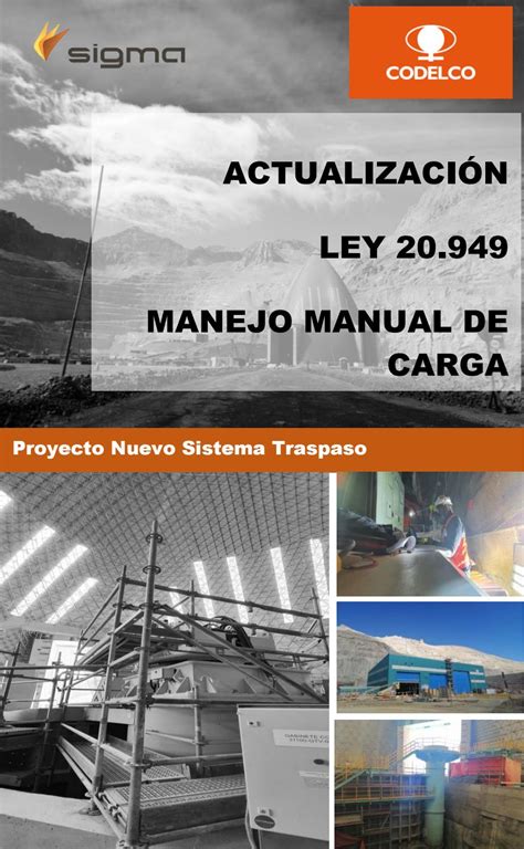 Actualizaci N Gu A Manejo Manual De Carga Ley By Alex Perez Issuu