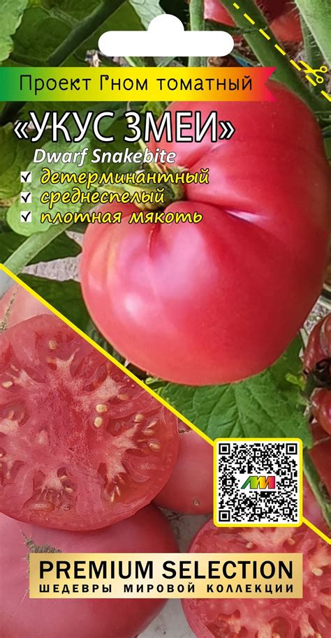 Купить семена Томат Гном Укус змеи - Интернет-магазин - Любовь Мязина ...