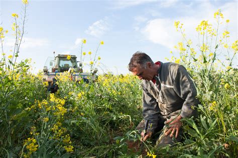 Agriculture De Conservation Des Sols Et Usages De Leau Fran Ois