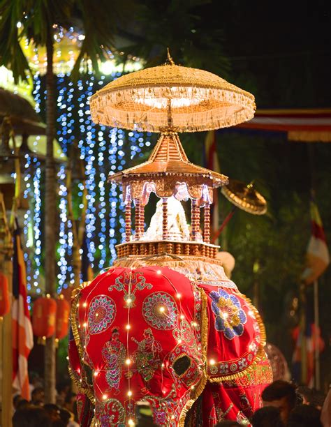 The Ceylon Times Navam Perahera