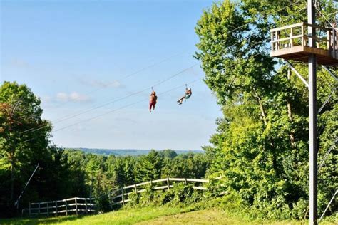 Boler Mountain Treetop Adventure Park