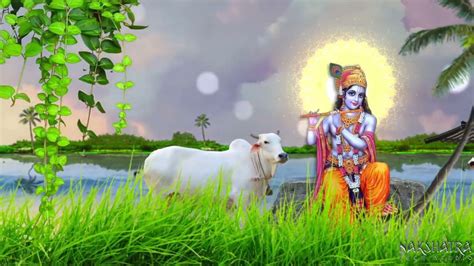 Shree Krishna Janmashtami Wishes Video By Nakshatra Tech Studio ...