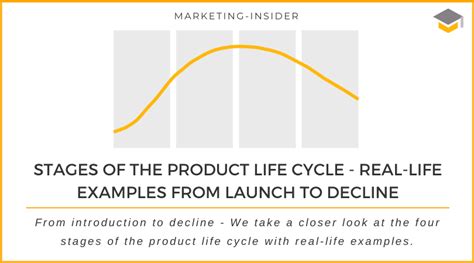 Product Life Cycle Explained Stage And Examples Nbkomputer