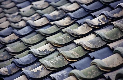 An Intricate Roof Tile Roofs And Tile Tiles Background, Gyeongbuk, Roof ...