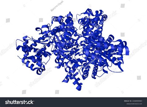 Anthrax Toxin Lethal Factor Crystal Structure Stock Illustration