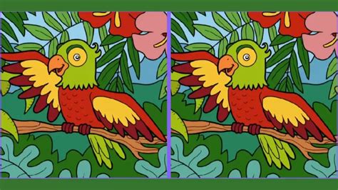 Use Your Sharp Eyes And Spot 3 Differences In The Parrot Picture In 12