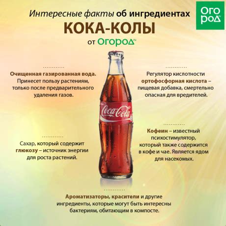 Кока-кола в саду и огороде: неожиданные способы применения напитка ...