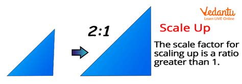 Scaling In Math Definition Types And Examples