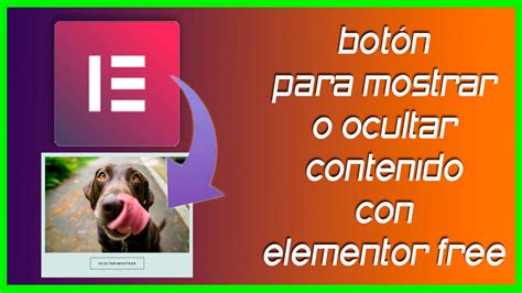 N Para Mostrar O Ocultar Contenido En Elementor Free Tutoriales