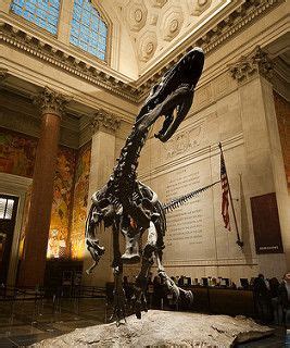 AMNH Dinosaur | Dinosaur, Palaeontology, Paleontology