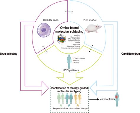 An Algorithm For Precise Treatment Of Hcc The Development Of New Omic