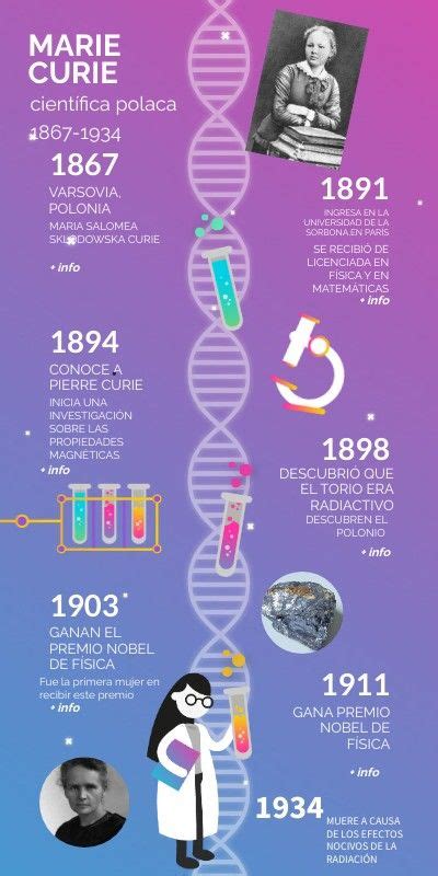 Linha Do Tempo Marie Curie - Marie Curie Timeline Poster