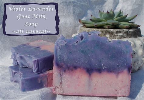 Items Similar To Violet Lavender Goat Milk Soap All Natural Eco