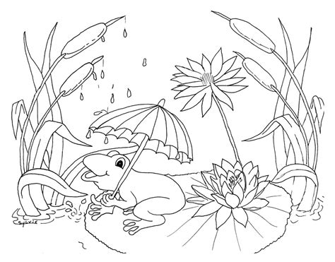 Frog and rain - Weather Coloring Pages for Kids