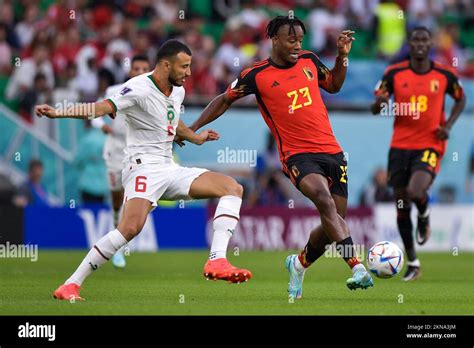 Doha Qatar November Romain Saiss Of Morocco Battles For The Ball