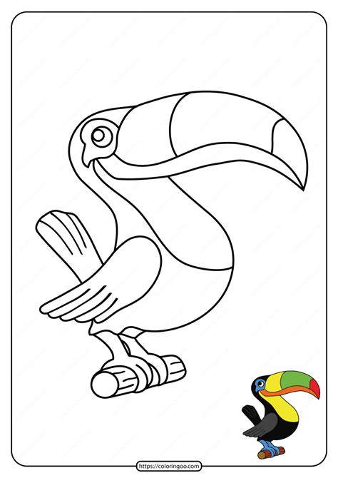 Toucan Coloring Page Free