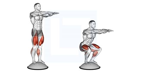 Squat on Bosu Ball - Guide, Benefits, and Form