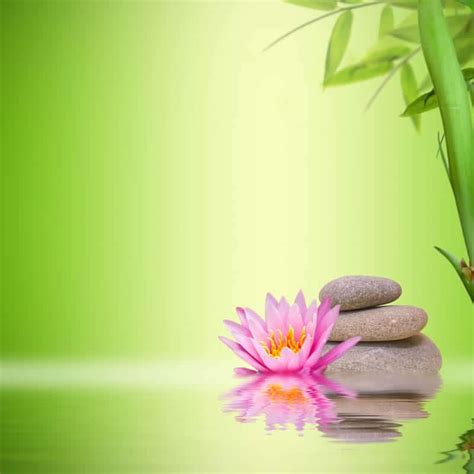 Special Offers at Theresa's Face and Body Spa